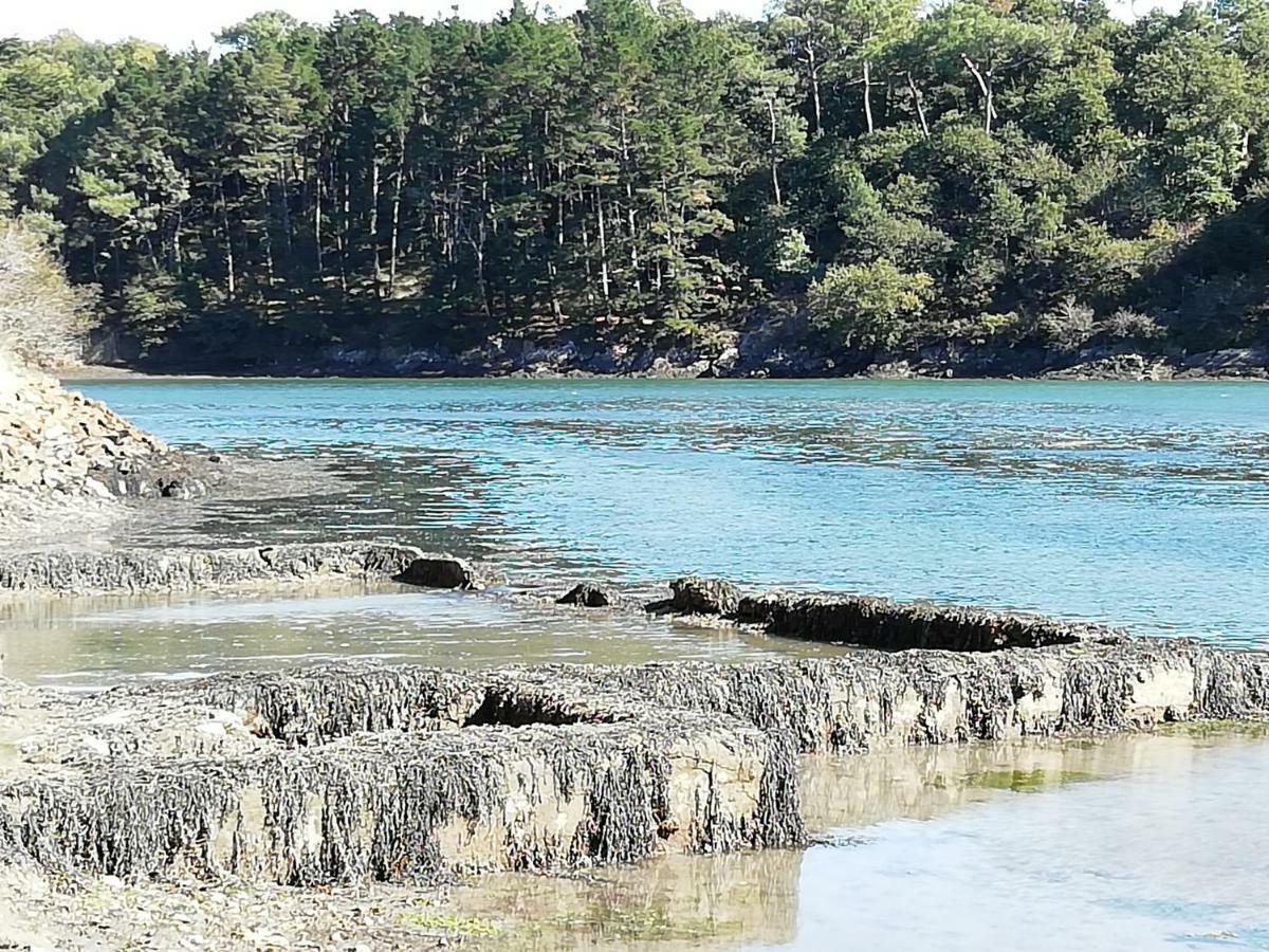 Les Roches Du Cabellou 150M De La Mer Concarneau Exterior photo